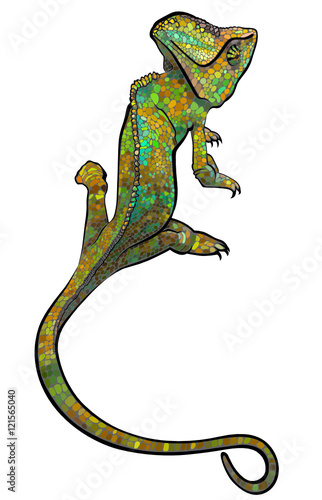 Chameleon.  stylized multi coloured Chameleon. Hand Drawn Reptile vector illustration in doodle style for tattoo or print