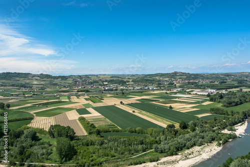 Fields and vineyards in Barbaresco, Alba, Italy 