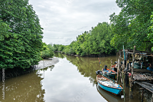 Scene of living place at the Mangrove forest along with the river in Rayong Thailand