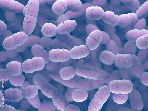 Streptococcus Pneumoniae, or pneumococcus, is a gram-positive bacteria.