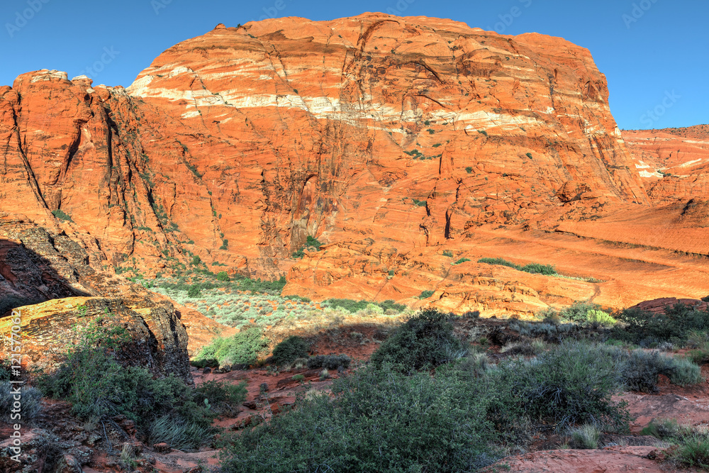 Snow Canyon State Park -Ivins -Utah. This scenic desert  red rock park has numerous trails, canyons, and spectacular vistas.