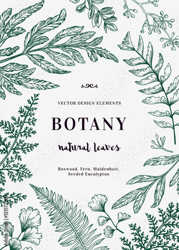 Floral vector background.