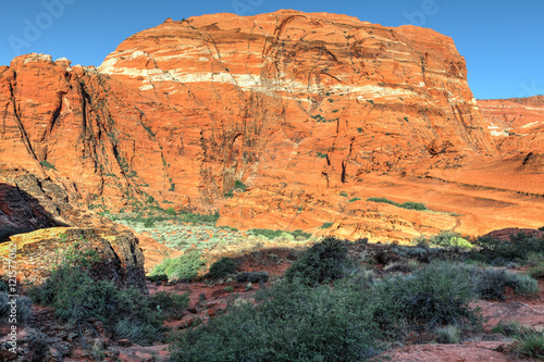 Snow Canyon State Park -Ivins -Utah. This scenic desert  red rock park has numerous trails  canyons  and spectacular vistas.