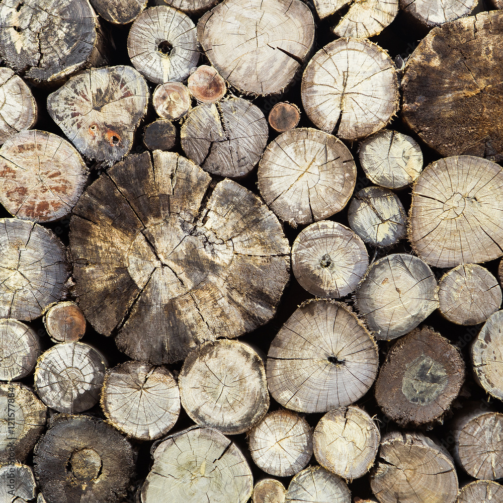 Naklejka premium Dry chopped firewood logs stacked up on top of each other in a p