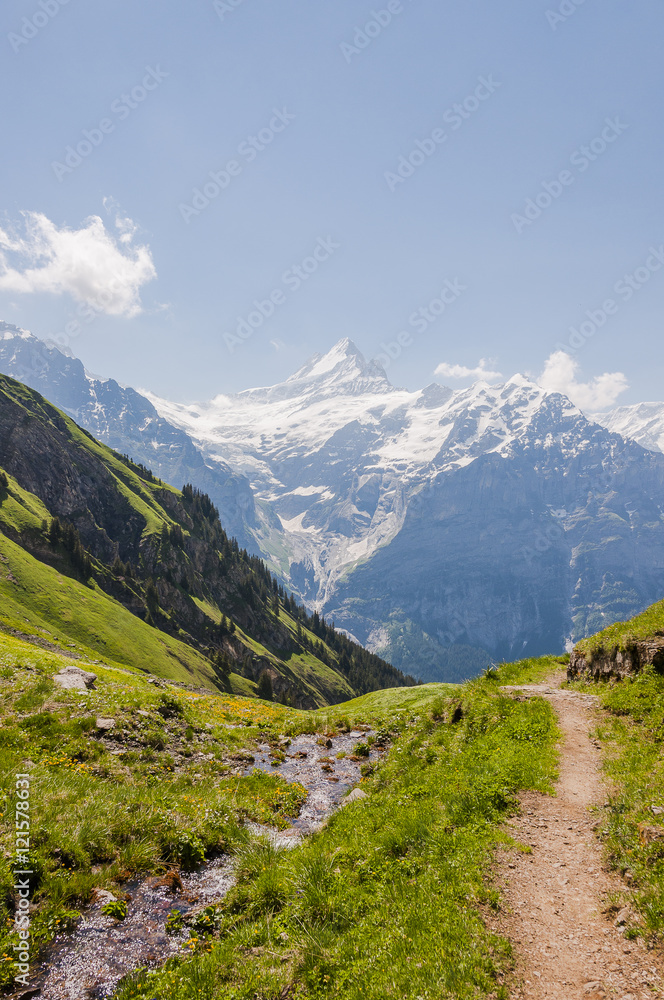 Grindelwald, Dorf, Alpen, Schweizer Berge, Berner Oberland, Schreckhorn, First, Waldspitz, Wanderweg, Sommer, Schweiz 
