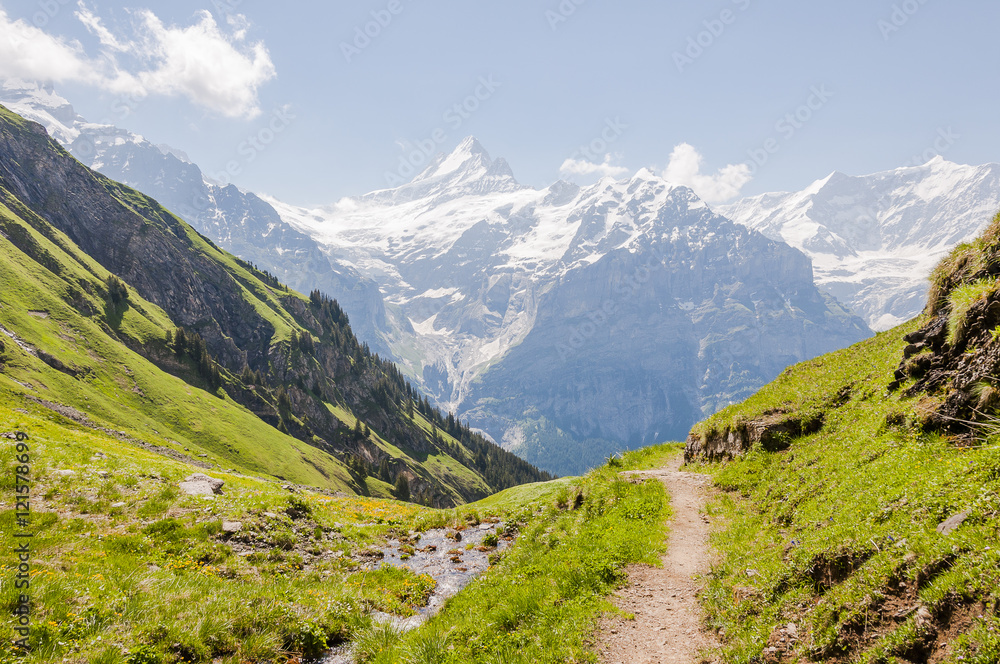 Grindelwald, Dorf, Berner Oberland, First, Alpen, Wanderweg, Waldspitz, Schreckhorn, Grindelwaldgletscher, Wanderferien, Sommer, Schweiz