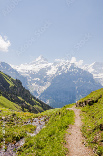 Grindelwald, Dorf, Berner Oberland, Wanderweg, Waldspitz, First, Alpen, Schweizer Berge, Schreckhorn, Sommer, Schweiz