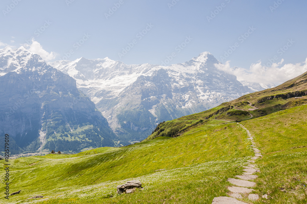 Grindelwald, Dorf, Bergdorf, First, Alpen, Wanderweg, Eiger, Eigernordwand, Schreckhorn, Berner Oberland, Sommer, Schweiz
