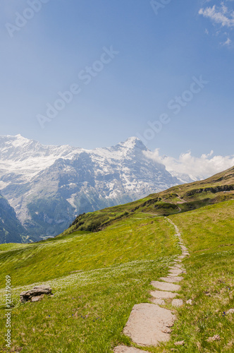 Grindelwald, Dorf, Eiger, Eigernordwand, Alpen, Schweizer Berge, First, Wanderweg, Waldspitz, Berner Oberland, Sommer, Schweiz