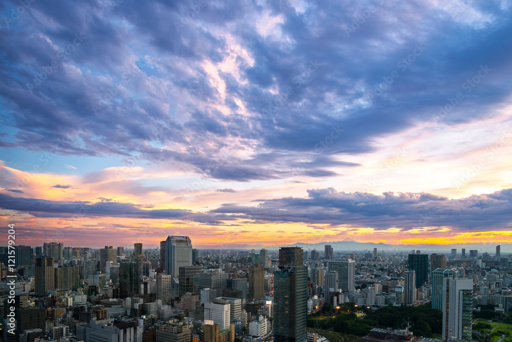 Cityscape of Tokyo City, Japan - Tokyo Skyline, japan city citys