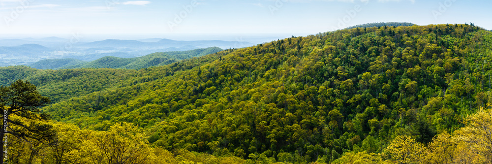 Shenandoah Mountains Shenandoah Mountains