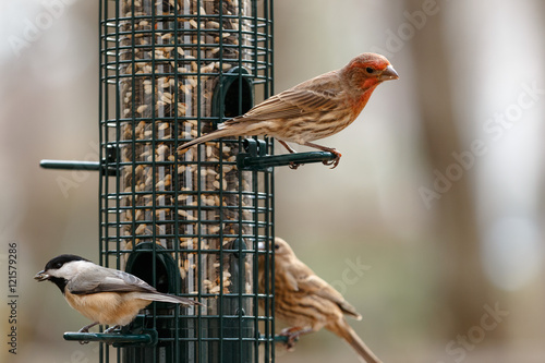 Photography Community Canteen