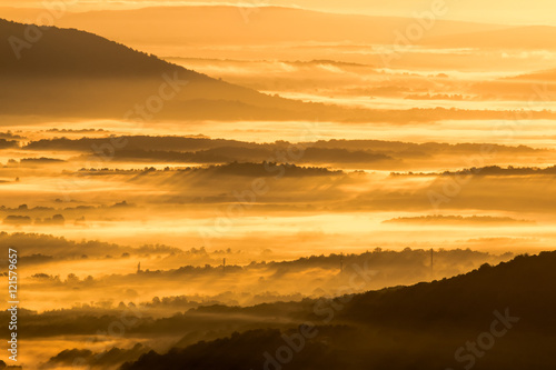 Fototapeta Naklejka Na Ścianę i Meble -  Foggy morning in Virginia. View from Skyline Drive, Shenandoah National Park.
