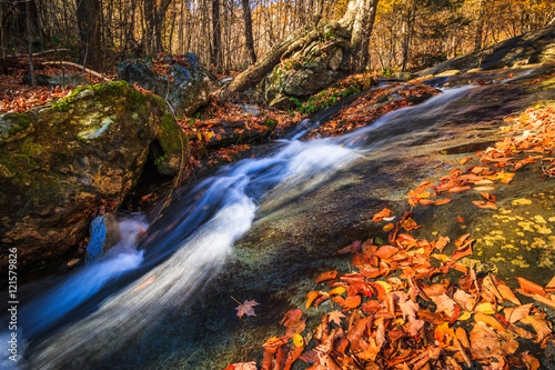 Print op canvas Along the trail to Dark Hollow Waterfall, Shenandoah National Park