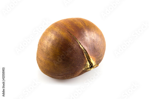 Single chestnut isolated on white