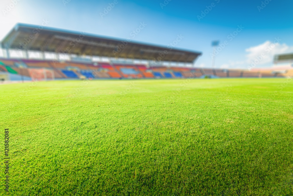 Fototapeta premium Green grass in soccer stadium