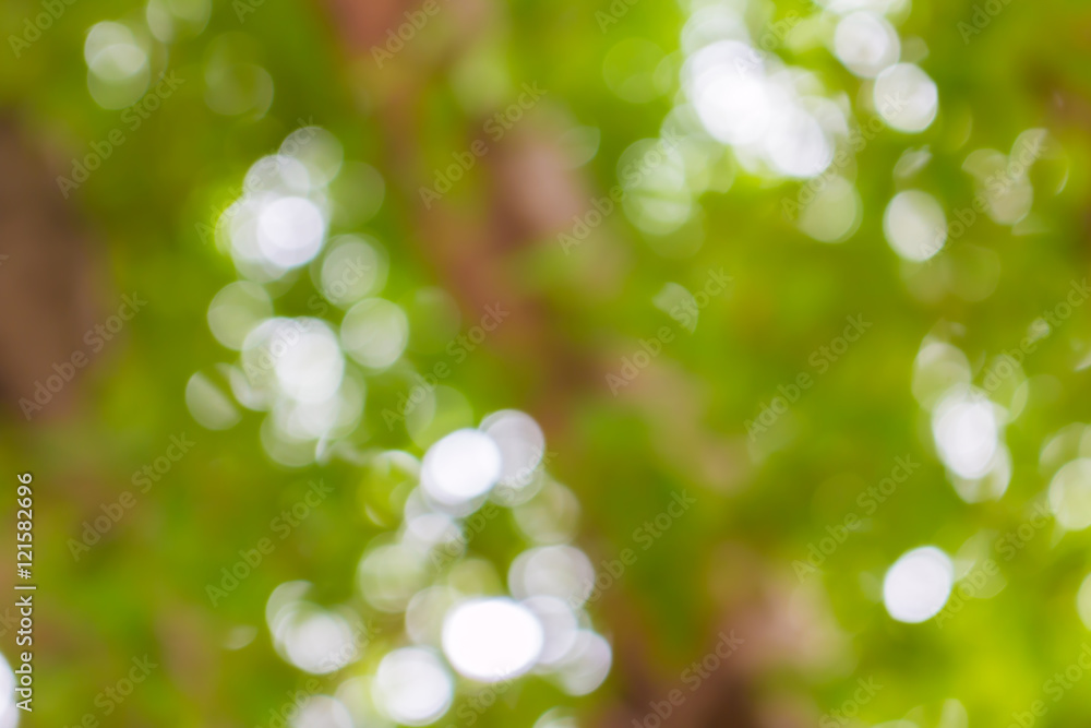 green blur bokeh abstract light green blur bokeh abstract light