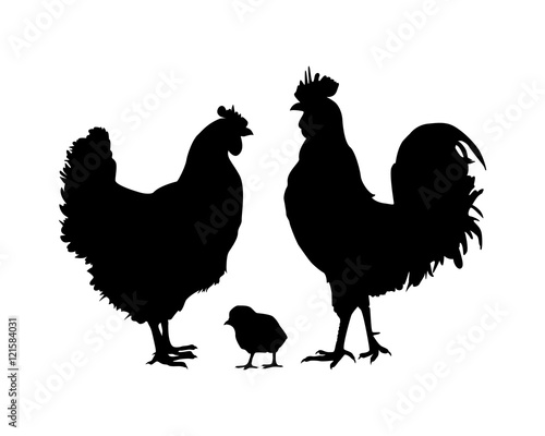 silhouette chicken family