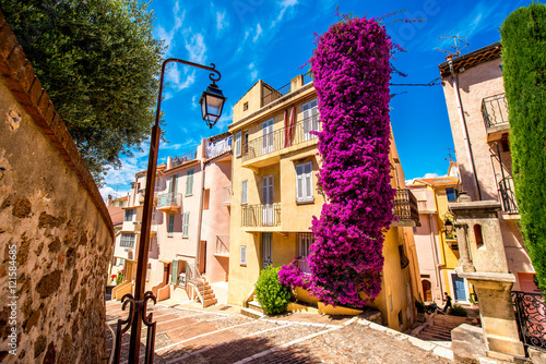 Beautiful residential buildings with colonial architecture with big flower bush in Cannes city in French riviera. photo