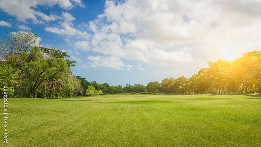Fototapeta premium Public park. Park in the capital. Park Lawn Green. Green trees in park. Sky and clouds at the park. Green field in a park in Bangkok, Thailand. The park is a place to relax and exercise..