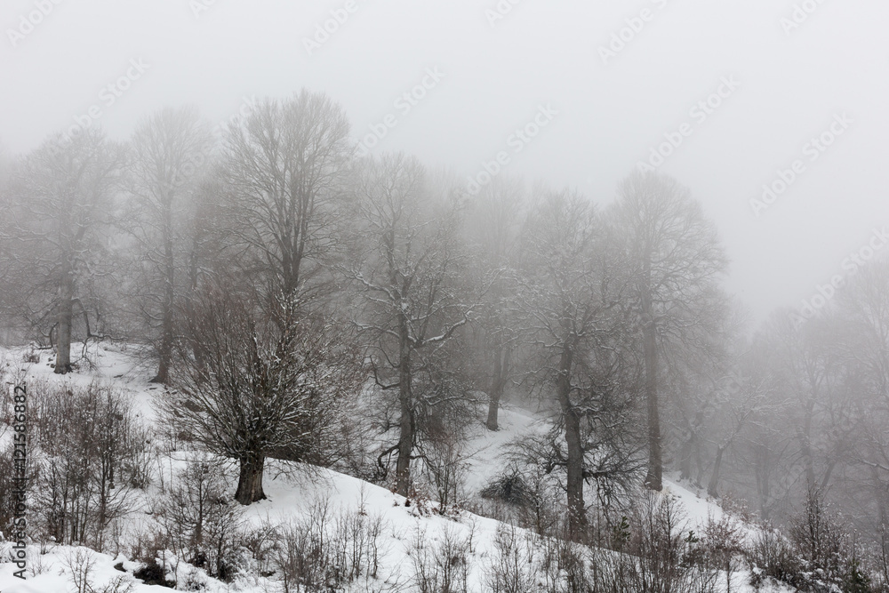 Fototapeta premium Winter in Derazno, Golestan, Iran