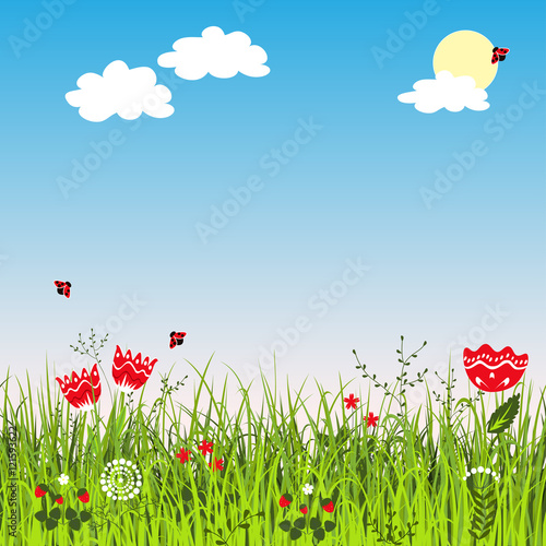 Summer positive landscape with meadow grass and flowers