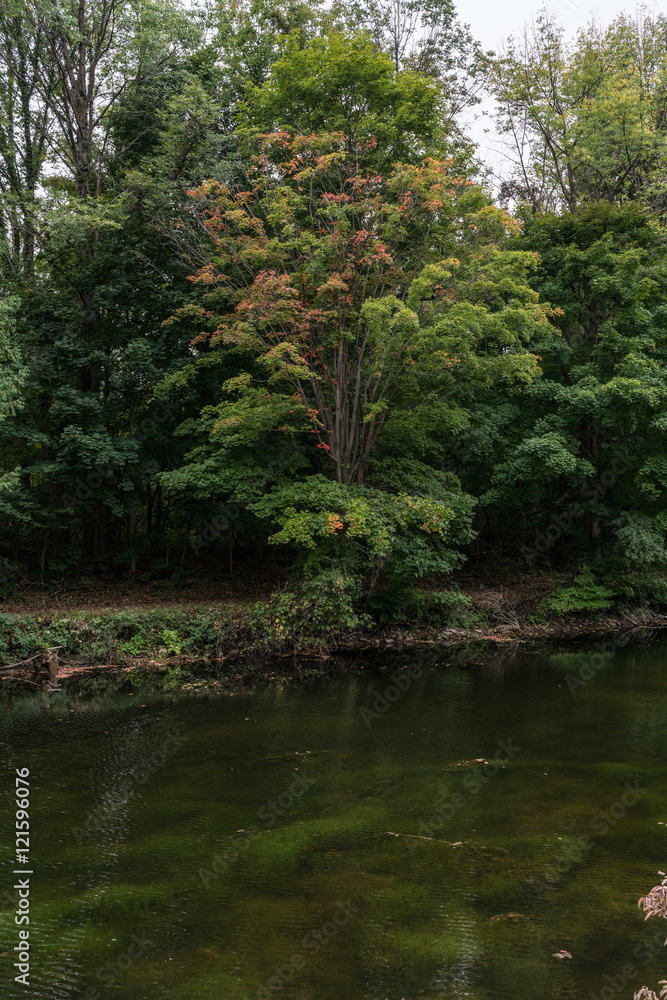 Erie Canal Trail