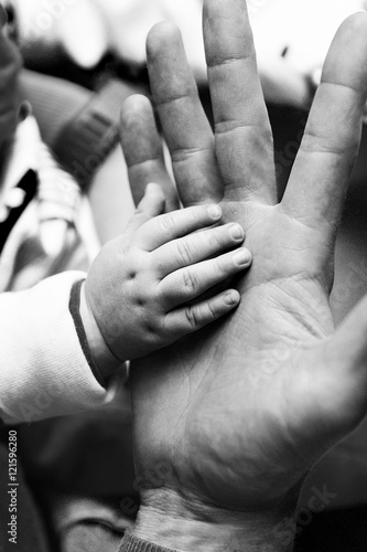 Father and baby's hands.