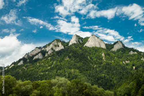 View to Three Crowns Mountain in Pieniny National Park  Slovakia   Poland