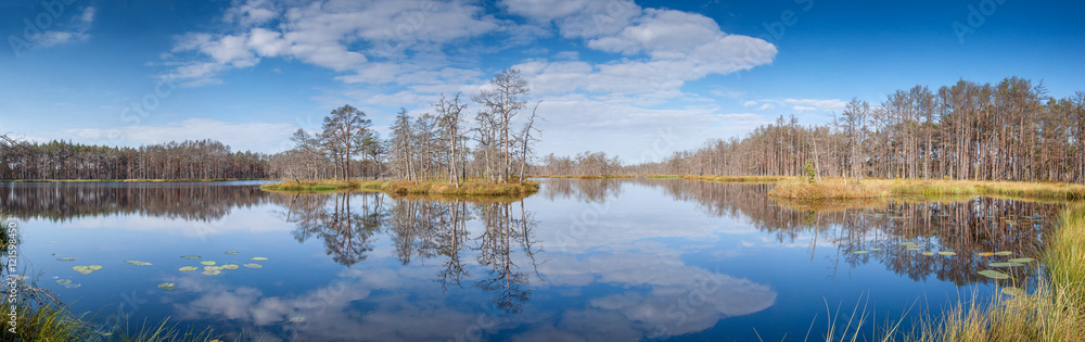Panorama of forest lake.