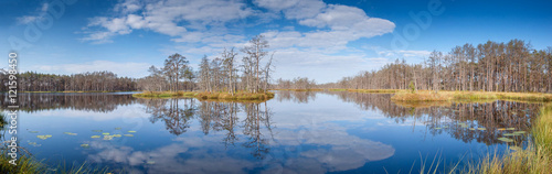 Panorama of forest lake.