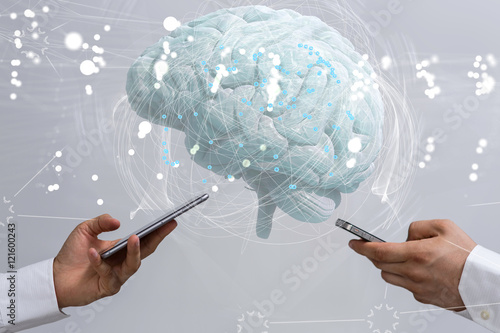 brain