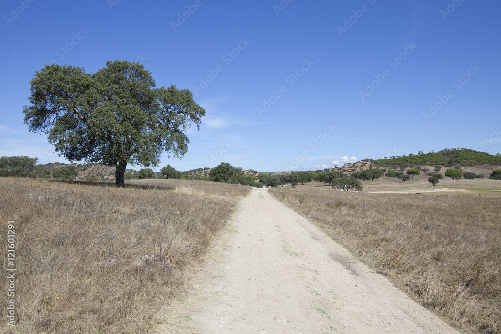 Landescape of Alentejo