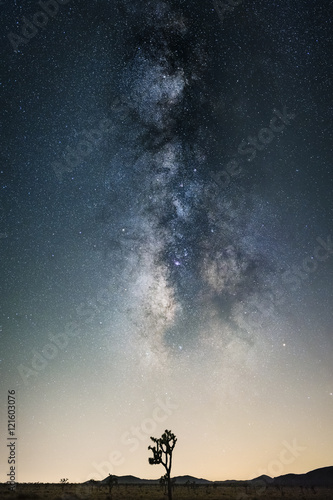 Milky Way over Joshua Tree