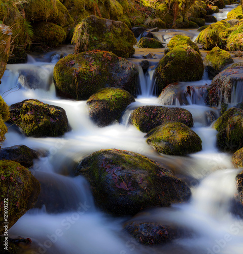 Paysages du Jura - Franche-Comt  