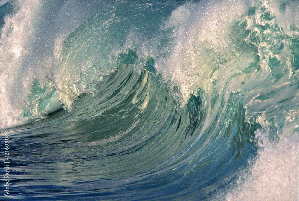 Fototapeta premium Empty Wave - Waimea Bay Shorebreak, Oahu, Hawaii