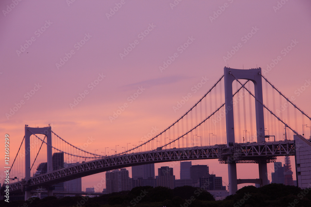 Obraz premium レインボーブリッジからの夕景