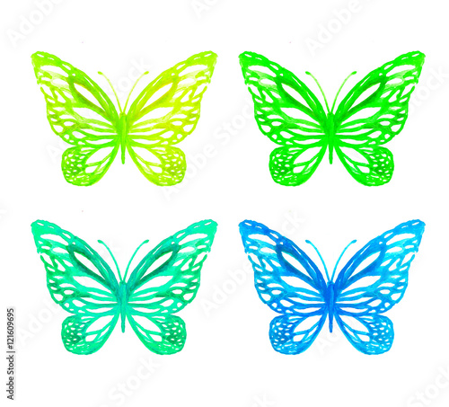 butterflies painted with watercolors