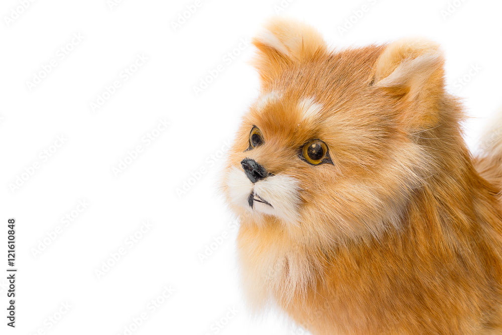 Dolly dog on white background Dolly dog on white background