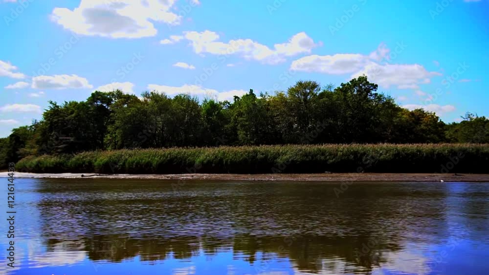Cinemagraph. Summer nature forest lake landscape
Cinemagraph. Summer nature forest lake landscape