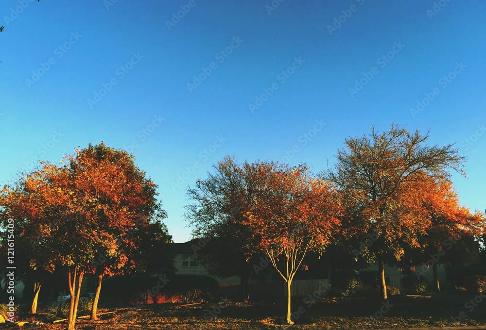 Naklejka premium Fall Weather