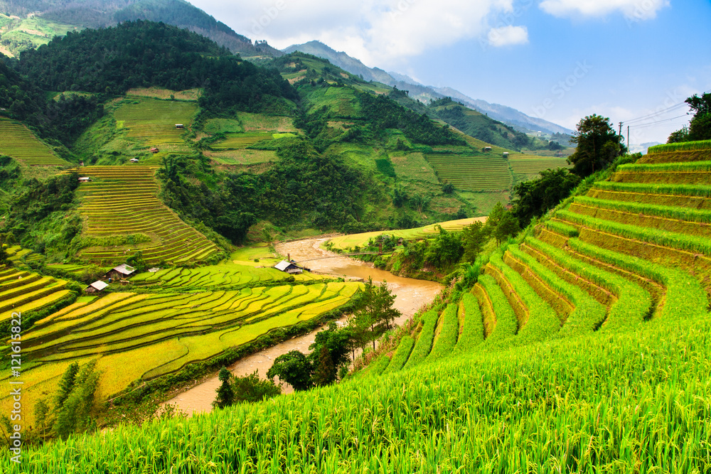 Fototapeta premium Rice fields on terraced of Mu Cang Chai, YenBai, Vietnam. Rice fields prepare the harvest at Northwest Vietnam.