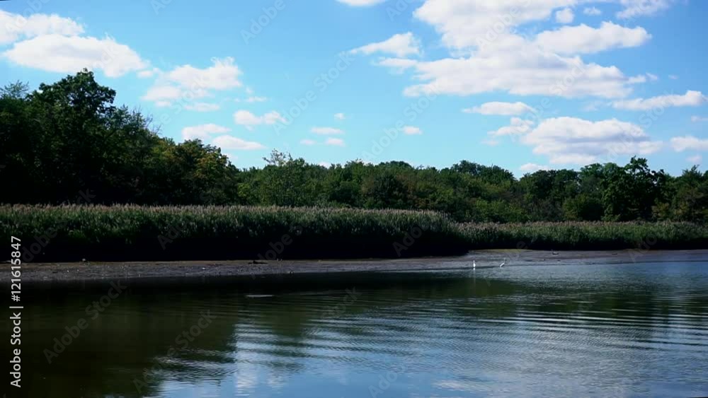 Cinemagraph. Summer nature forest lake landscape
Cinemagraph. Summer nature forest lake landscape