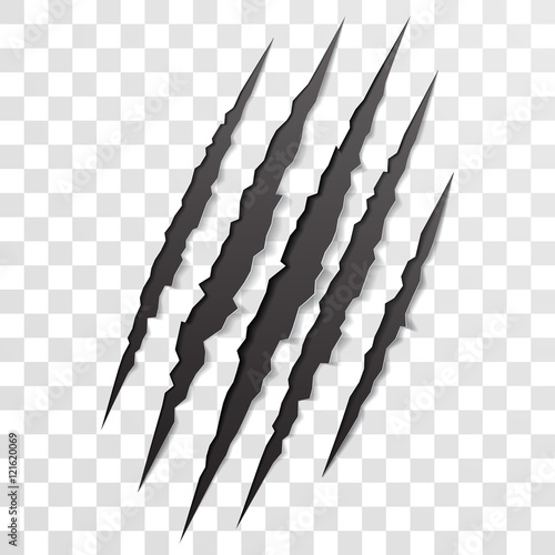 Claw scratch mark. Torn scrape trace of beast