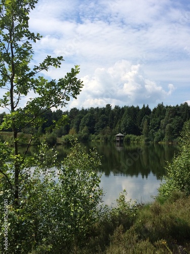 Ausflugsziel am See im Wald