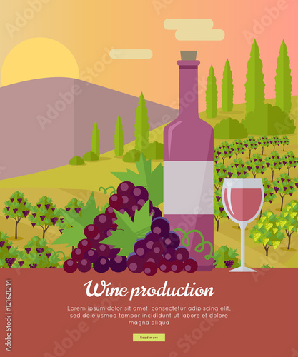 Wine Production Banner. Poster for Rose Vine. photo