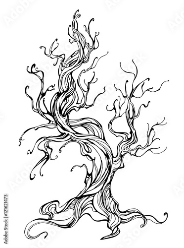 contour of the old tree