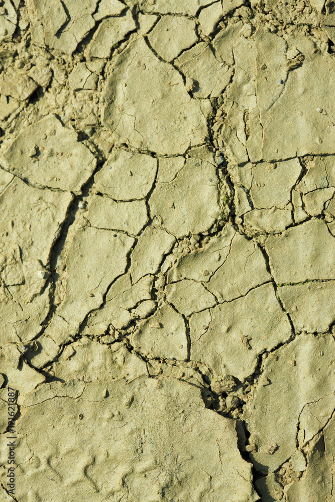 Fototapeta premium ひび割れた土