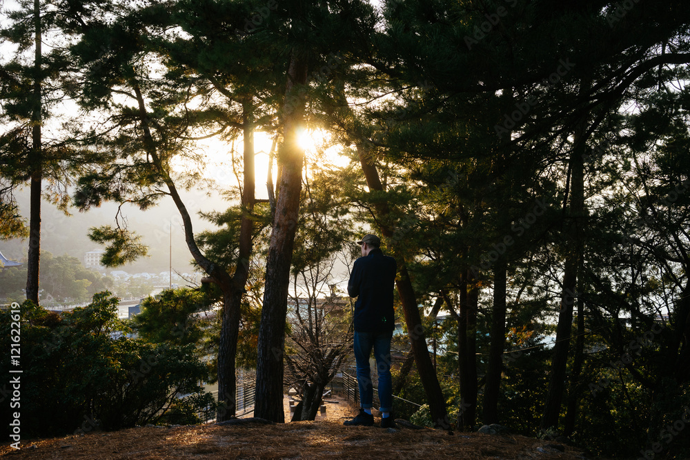 Fototapeta premium Man taking photographs through sunset tree line in Miyajima, Japan