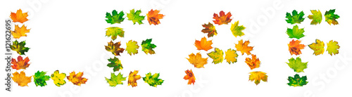 Word LEAF composed of autumn maple leafs